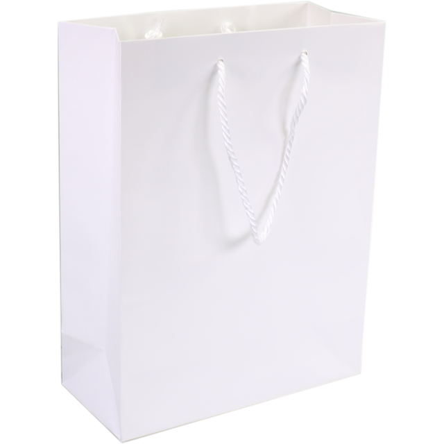 Draagtas Papier met koord 16x8x19cm Wit 100st/ds