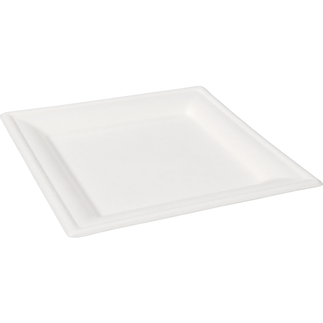 Biodore bord vierkant wit 26cm bagasse (50st/pak)