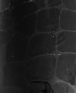 Cadeau papier Mock Croc Black 24"x417