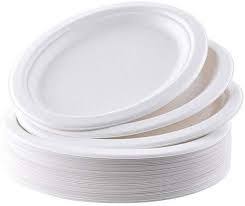 6" Bagasse Round Plate (125pcs/pack)