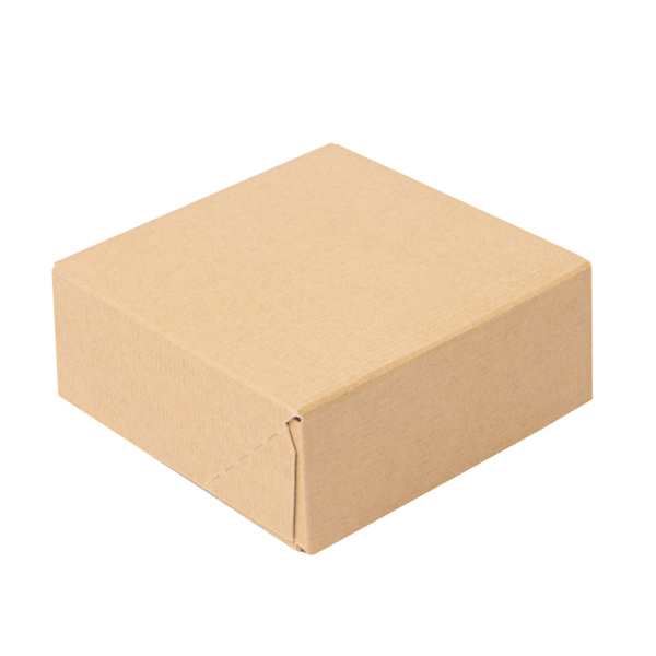 Sushi Box The Pack 10x10x4cm Brown (50st/pak)