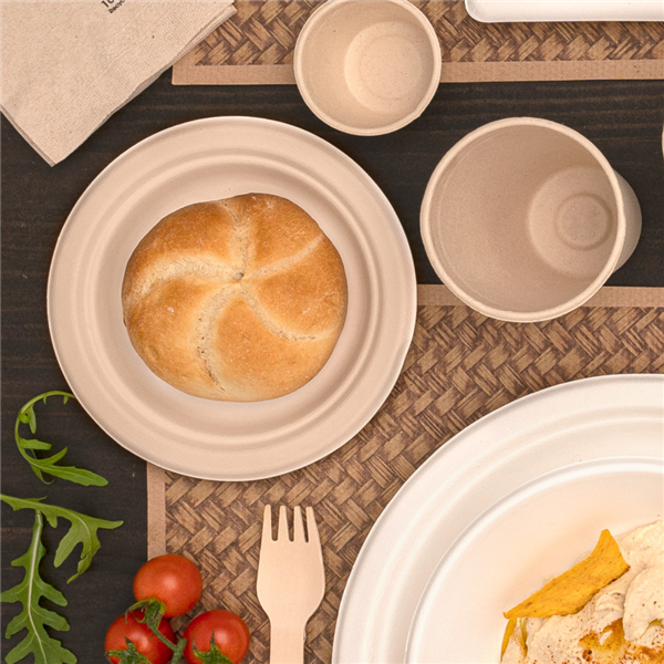 Bagasse plates Round Diam. 9,5cm (50st/pak)