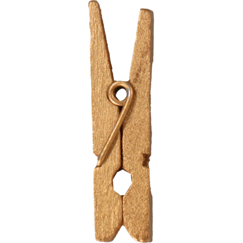 Knijper 3,5cm x 1cm Goud Hout (24st/pak)