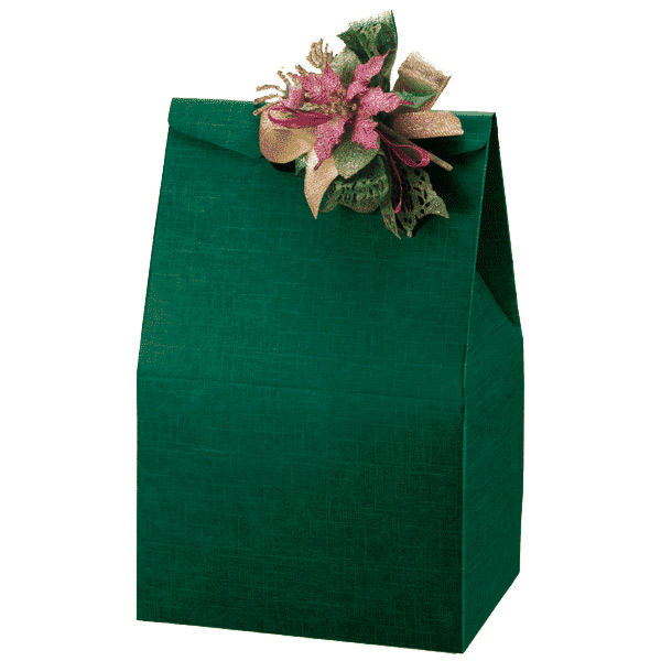 Bags without Handle 28x20x41cm Green Cardboard (per stuk)