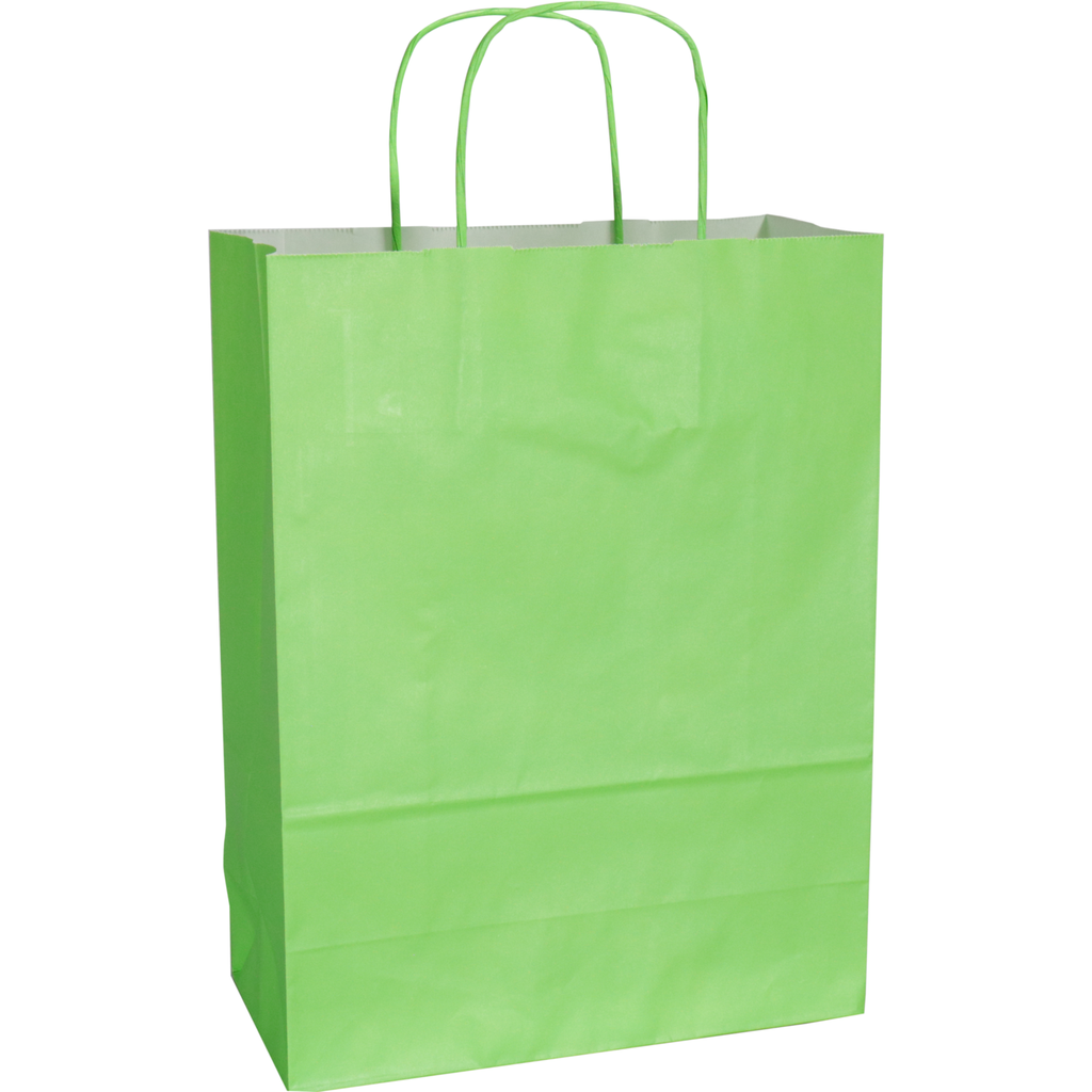 Papieren draagtas 26/12x35cm (gedraaid papieren koord) 50st/krimp