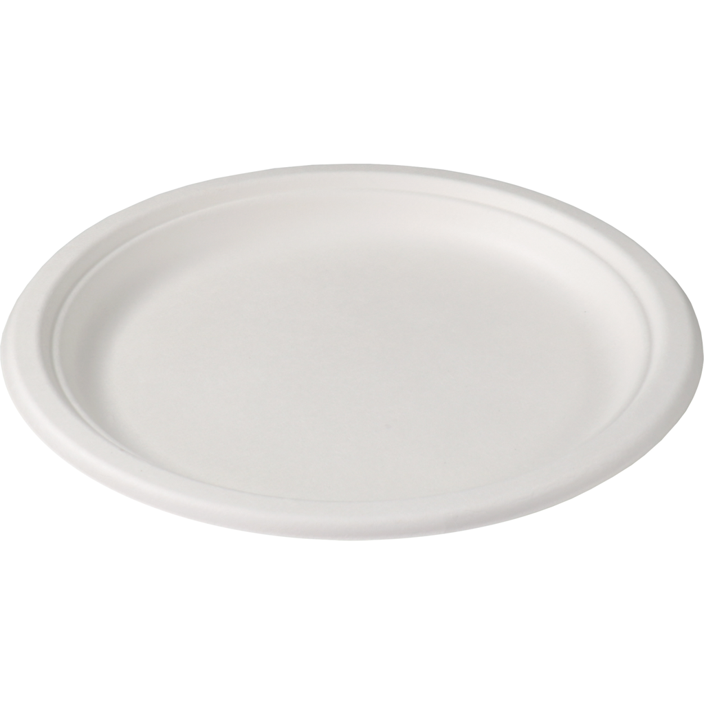 Bord Wit Bagasse Rond 23cm (500st/doos)