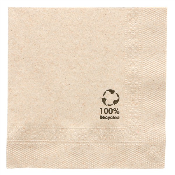 Napkin 2-ply "Feel Green" 20x20cm Brown Cellulose 100% recycled. 100pcs/pk