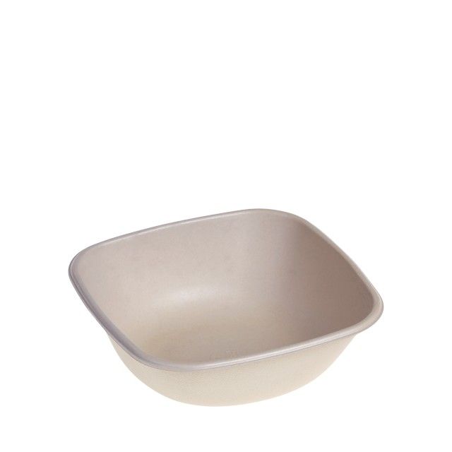 Bagasse/Suikerriet Bowl 750ml 17x17x5,5cm Bio-Laminated (125st/pak)