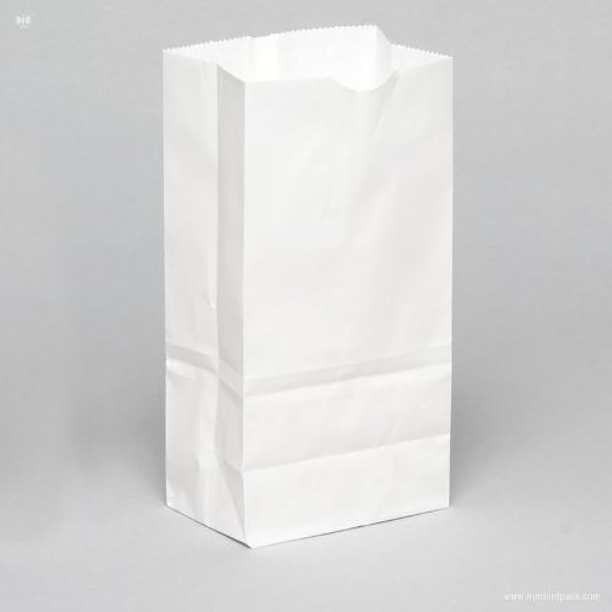 Grocery Bag Paper White #4lb 5X3.1/4X9.3/4 500st/pk