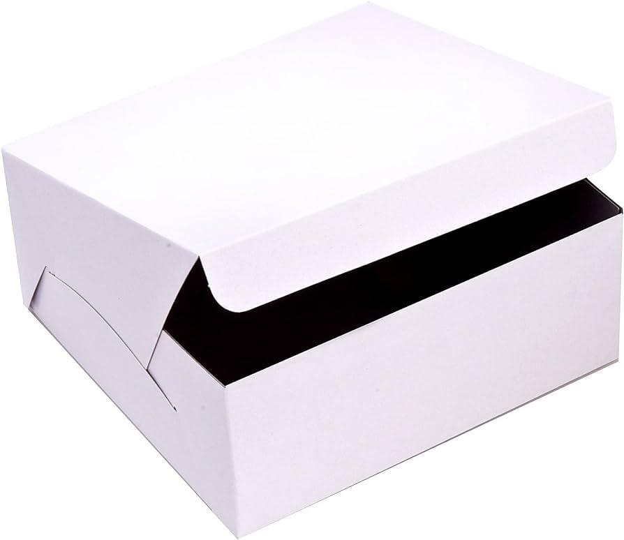 Cake box Vierkant White 12x12x5.5"  100 st/ds 30x30x14cm