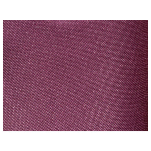 Placemat 30x40cm Paars (200st/pak)