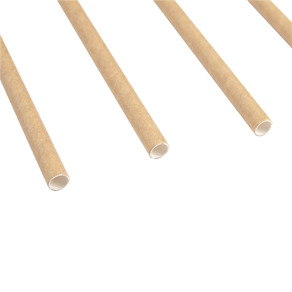 Paper straw / Papieren rietje Kraft 20cm unwrapped (250st/pak)
