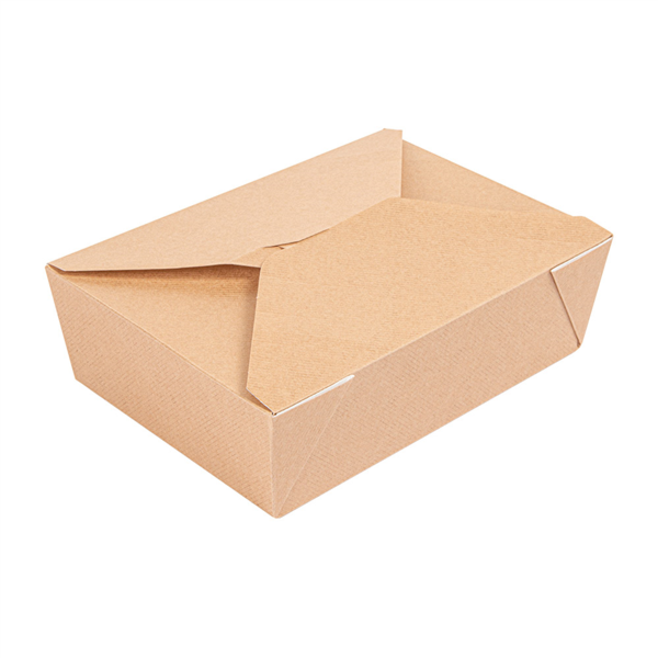"The Pack" Rectangular Bio #3 Boxes   19,6x14x6,2cm Natural Kraft Nano-Micro Corrugated Cardboard (50st/pak)