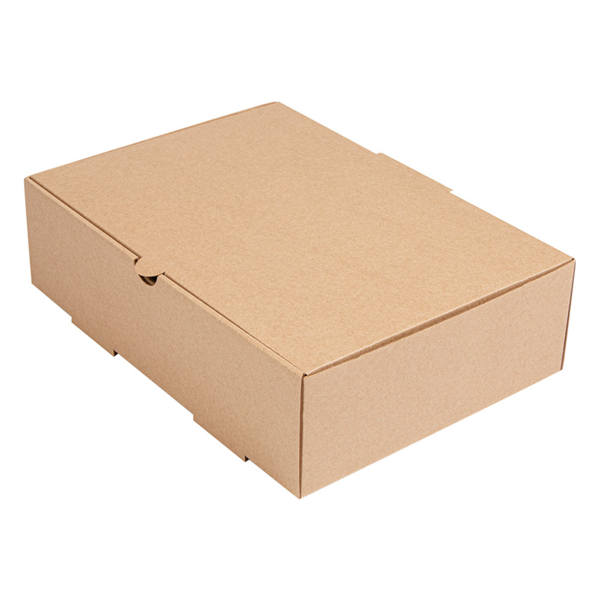 "The Pack" Take-Away Meal-Box 26x18x7cm Natural Kraft Nano-Micro Corrugated Cardboard (100st/pak)