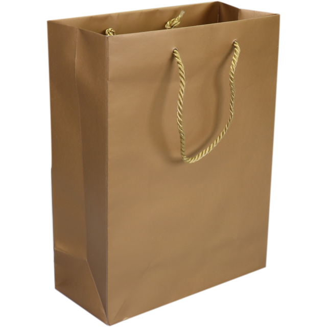 Draagtas Papier met koord 22x10x29cm Goud 100st/ds