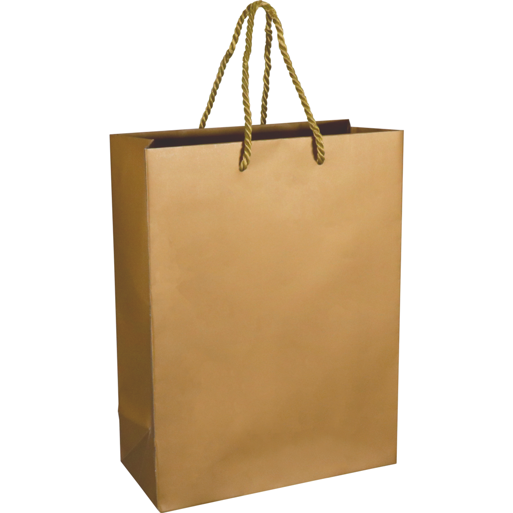 Draagtas Papier met koord 22x10x29cm Goud 100st/ds
