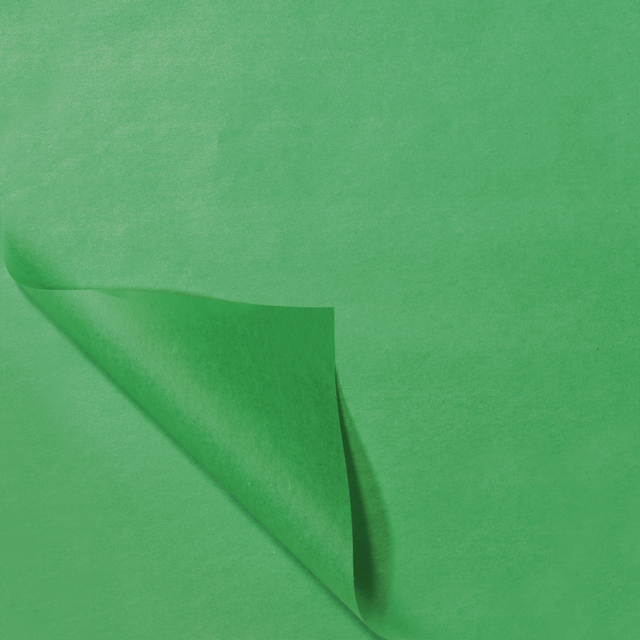 Tissue / Zijdevloe 50x70cm Licht Groen (100st/pak)