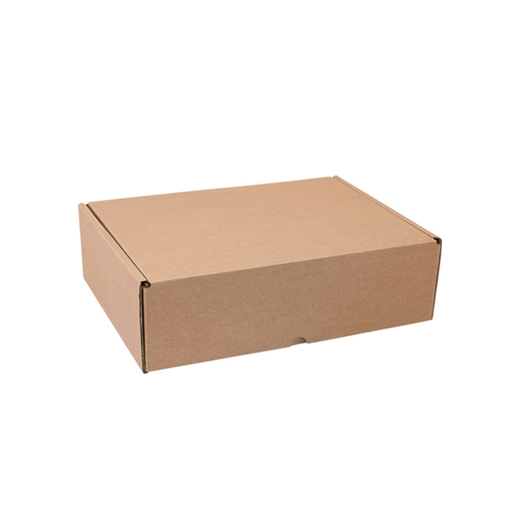 [211.38] Mail Box 26x16,5x10,5cm Natural Cardboard (per stuk)