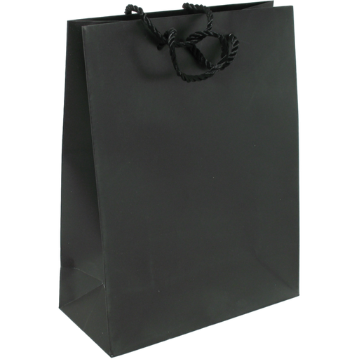 [269755] Draagtas Papier met koord 22x10x29cm Zwart 100st/ds
