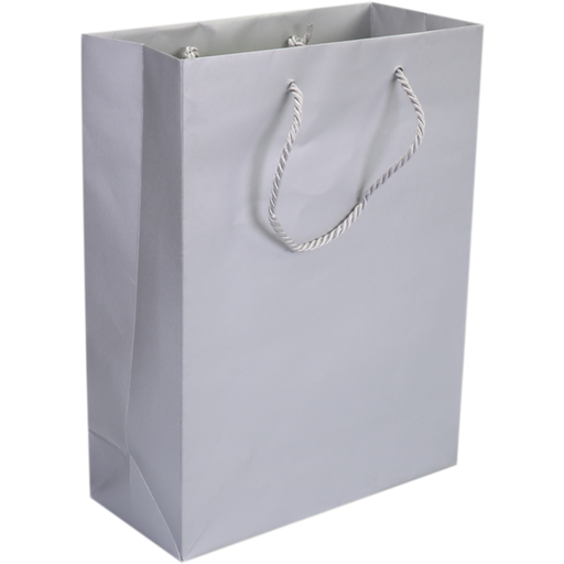 [270392] Draagtas Papier met koord 22x10x29cm Zilver 100st/ds