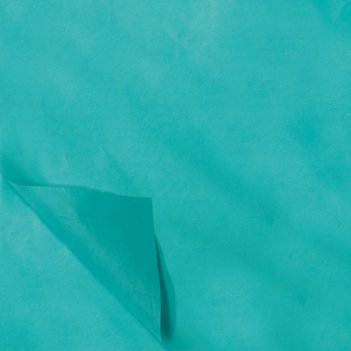 [331510] Tissue / Zijdevloe 50x70cm Licht Blauw (100st/pak)