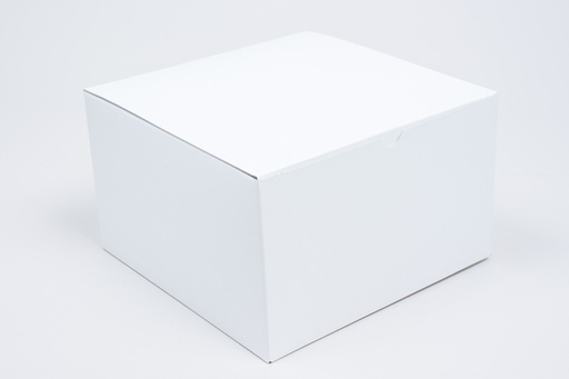 [301001] Tuck-it  Alligator embossed white 9x9x5.5" 10 st
