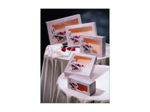 [472131] Cateringdoos Luxe dessin 07 licht blauw 25x35x8 cm 10st/pk