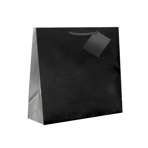 [804.56] Shopping Bags / Draagtassen met koord Zwart 19+10x27cm (10st/pak)