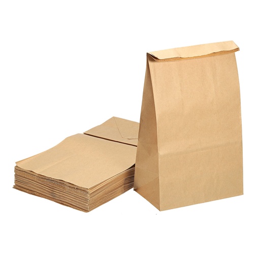 [GBB100] Grocery Bag paper kraft 10 lb 500 ds/pk