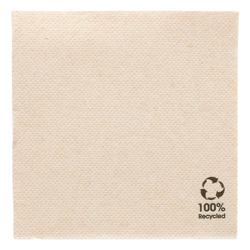 [191.09] Napkins Double Point Feel Green/Eco 20x20cm 1/4-fold Brown Cellulose (24x100pcs/cs)