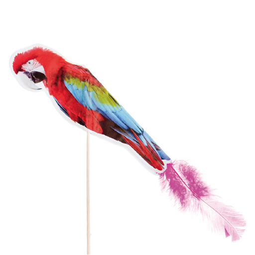 [115.57] Ice Cream Decorations "Parrot with Feather" 20cm Assorted Wood (100st/doos)